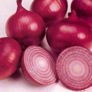 ONION