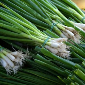 SPRING ONION