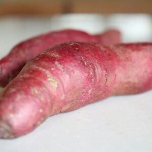 SWEET POTATO